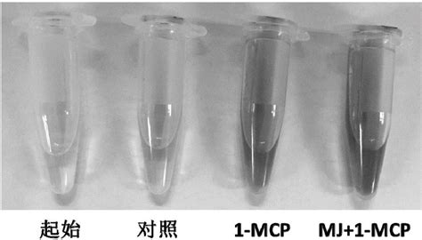 甲基环丙烯的作用是什么