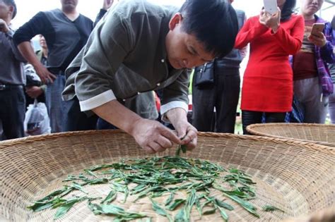 太平猴魁茶叶的来历