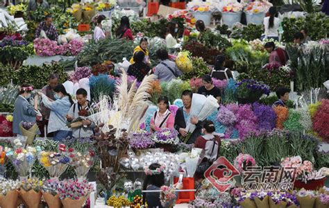 胶南市的花草市场哪里的比较齐全?