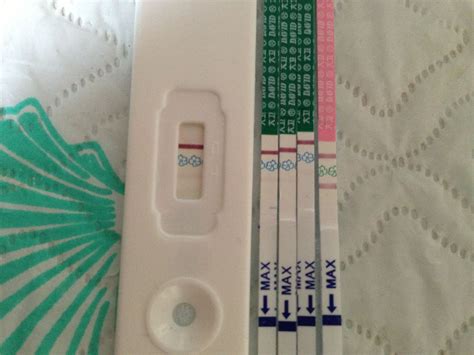 母猪60天用试纸是否能测怀孕