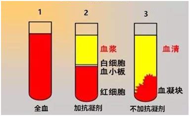 抽血hcg在12.051怀孕准确率大吗