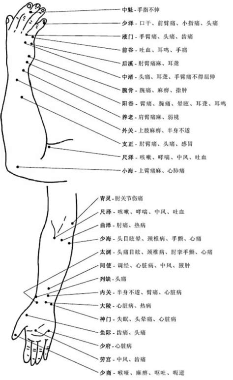 前胸穴位图片大全