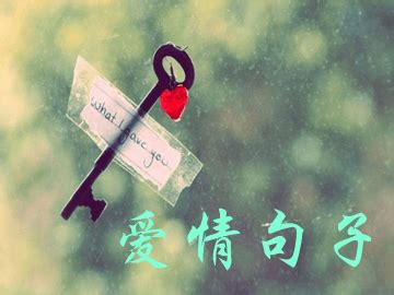 明知道没有结果的爱情句子