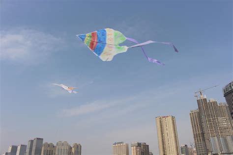 放飞的风筝_小学生作文600字（合计4则）