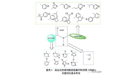 杀菌剂有什么样的作用机理？