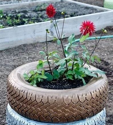 花盆碎了600字作文【推荐8篇】