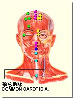 靠耻骨处的叫什么穴位