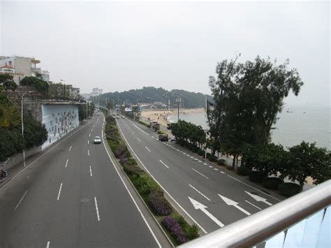 美丽的厦门环岛路-四年级写景作文550字[通用5则]