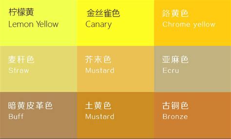 米黄色与什么颜色搭配效果最佳