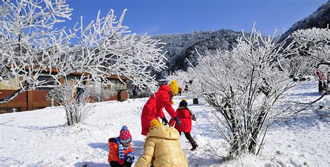 金佛山滑雪场的价格?