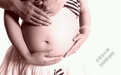 早孕14周胎儿发育图