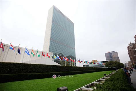 联合国在哪里