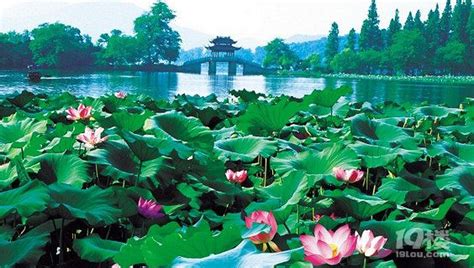 西湖十景是哪十景?