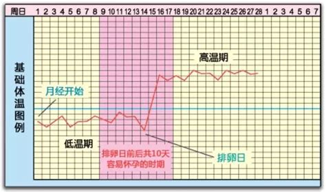 怀孕初期体温36.8正常吗