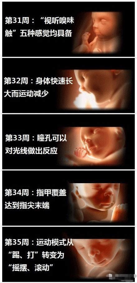强生婴儿帮准妈妈解析胎教这回事