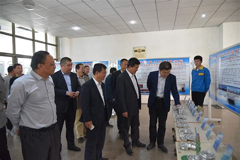 精神胚胎对教育的意义