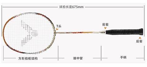 羽毛球球线磅数怎样选择