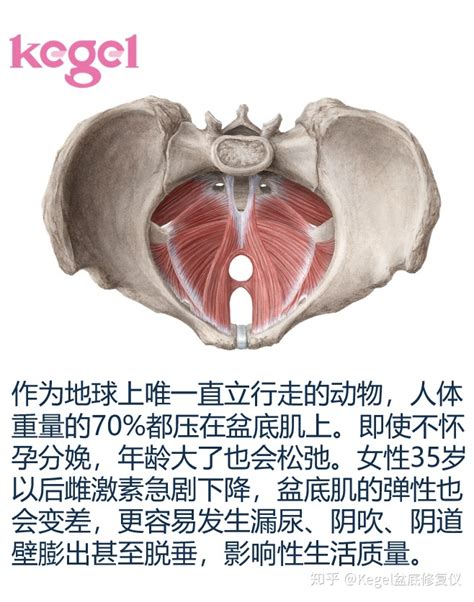 产后两年漏尿可以自愈吗