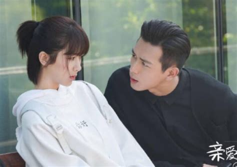 赘婿番外讲的是啥