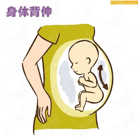 怎么估算宝宝在肚子里的体重