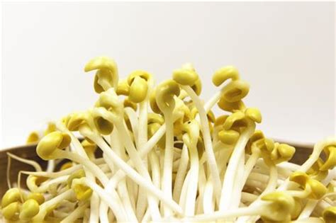 立冬那天当天吃什么食物