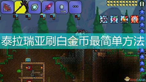 泰拉瑞亚金钱槽怎么的