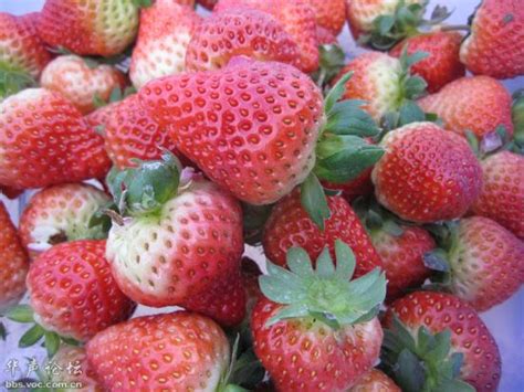 草莓吃起来一股农药味正常吗
