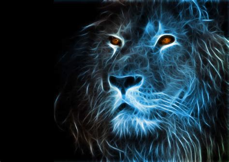 黑狮子真的存在吗