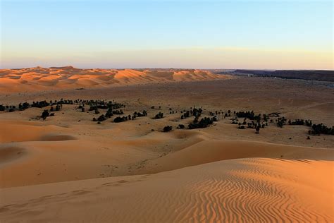 撒哈拉大沙漠探险之旅-想象作文400字（共计6篇）