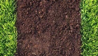 什么叫酸性土壤