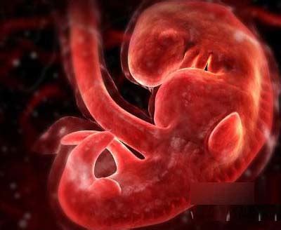 怀孕10周胎儿发育吃什么好