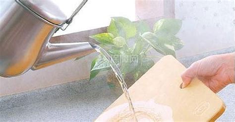 如何快速去除砧板上的霉