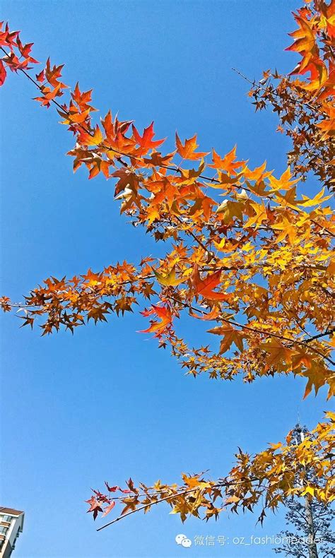 敦煌，你秋天的颜色真美