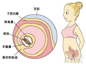 1-12个月婴儿发育过程图