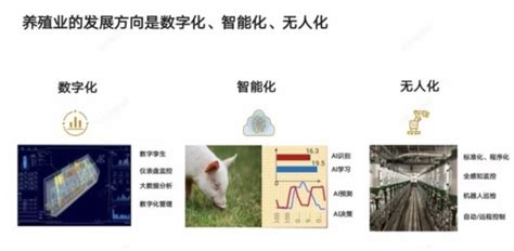 哪个规模养猪场管理软件好用,推荐一个,收费、免费都可以.