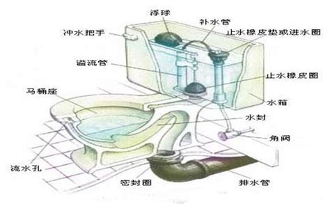 马桶堵了怎么办?