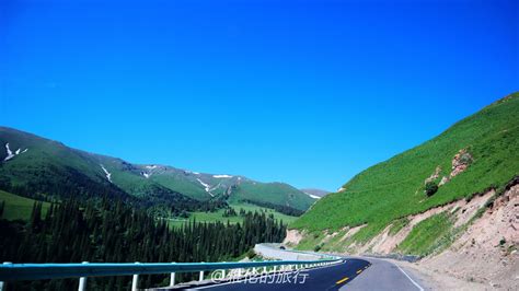 新疆独库公路561公里，高海拔上藏着1片缤纷花海！悬挂神秘项链？