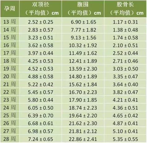 孕期检查时间及项目