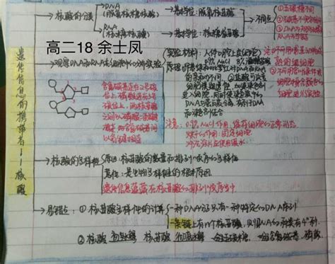 最强大脑之训练超强记忆力的9大方法