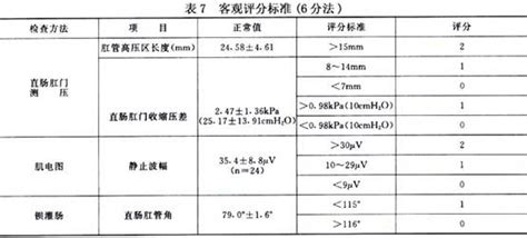 耻骨在哪个位置的图片