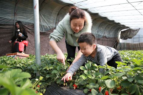 怎样带宝宝去郊游踏青