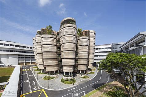 新加坡南洋理工大学怎么样啊？