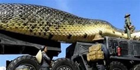 世界上最大的蛇多大?