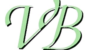 vb 书写格式