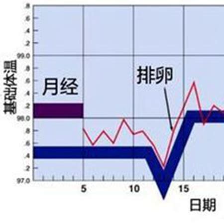 孕期周期几周为一个月的图片