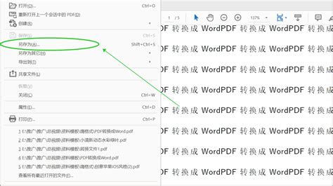 谁有把pdf转换为word的软件？？？给我推荐一个撒