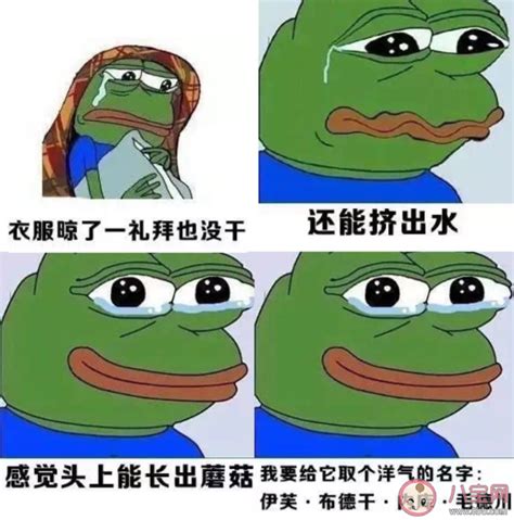 经典说说搞笑句子