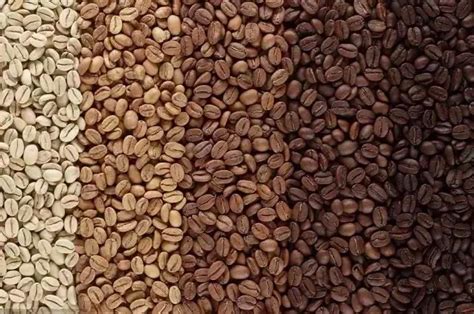 15克咖啡豆配多少水