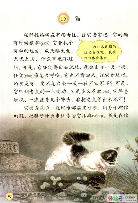 小猫种鱼-童话作文400字(推荐4篇)